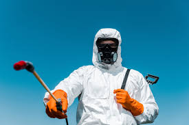 Emergency Pest Control in Shady Spring, WV